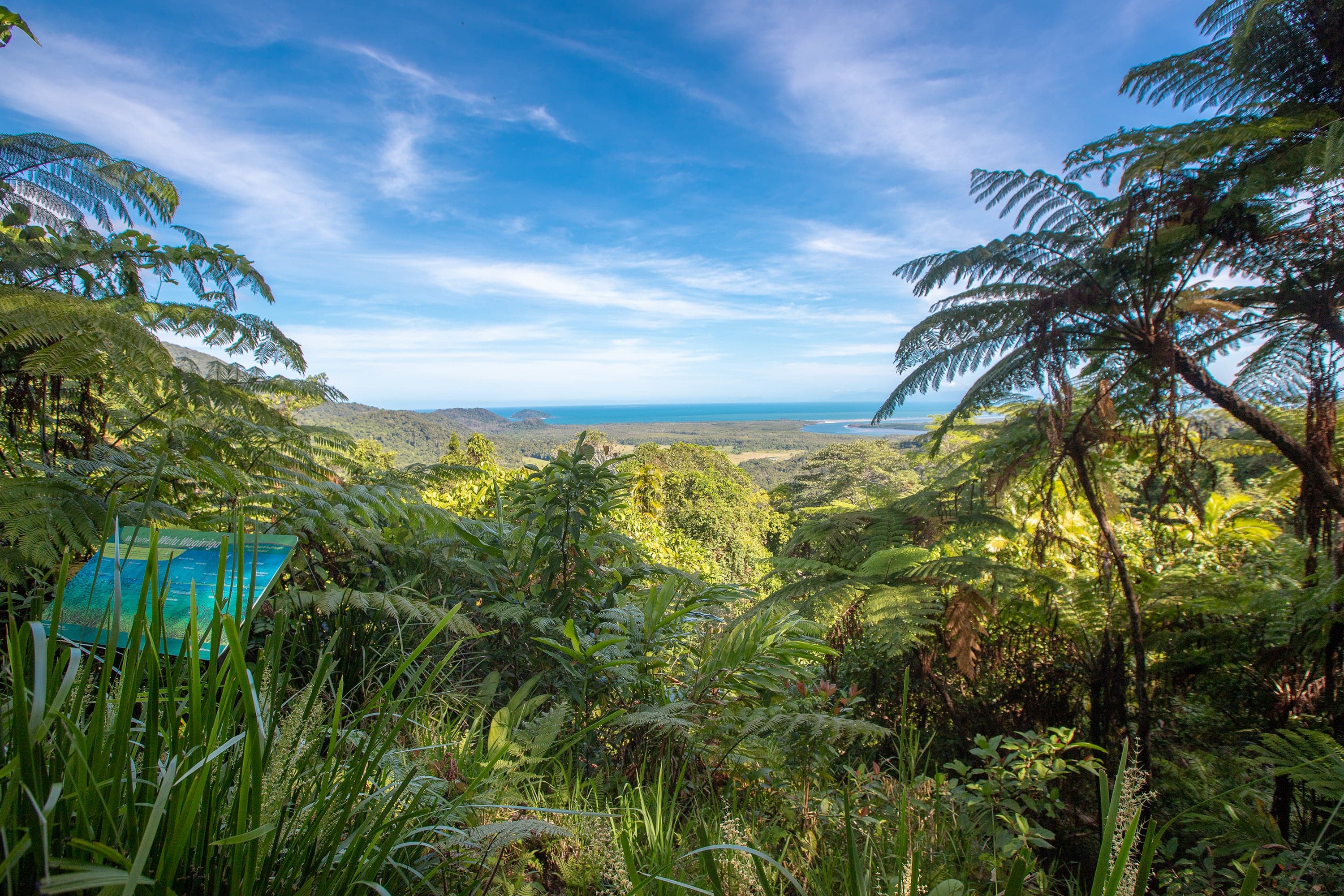 Daintree Rainforest Tour