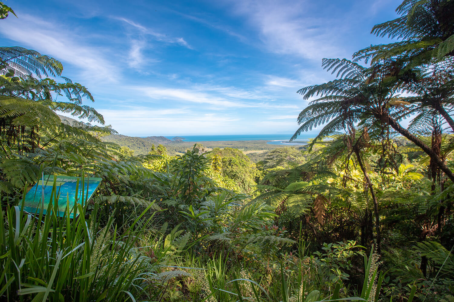 Alexandra Range Lookout_Daintree Rainforest Tour