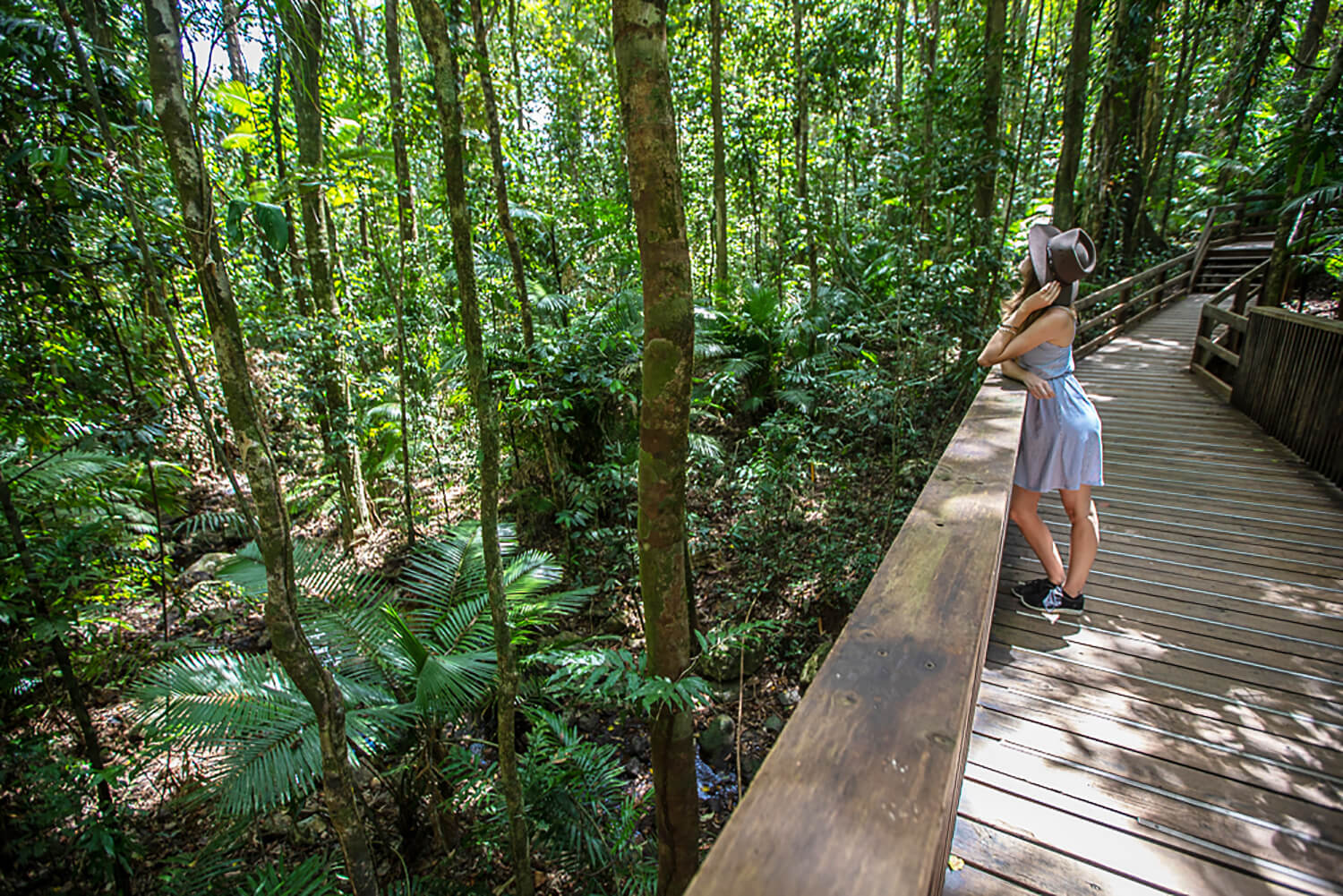 Daintree Rainforest_Reef and Rainforest Package