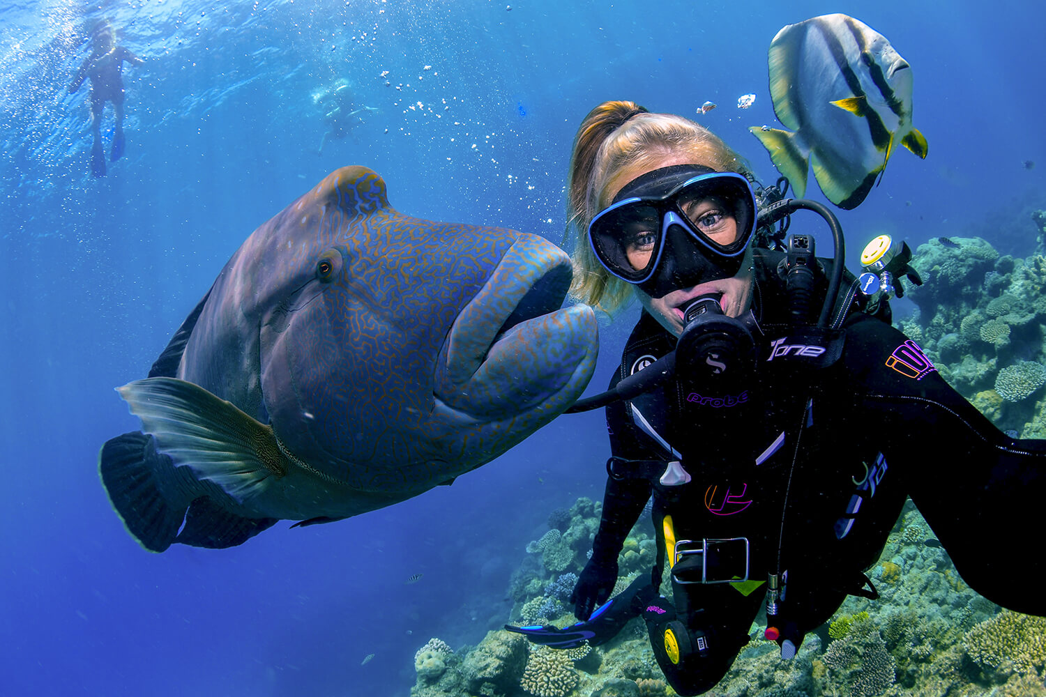 Scuba Diving_Great Barrier Reef Tour Cairns