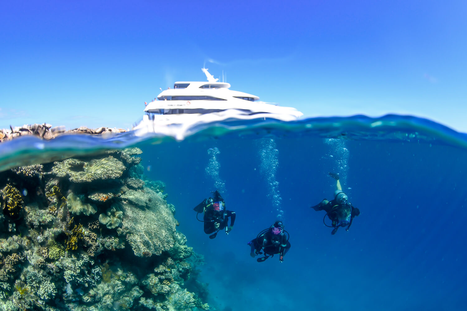 Scuba Diving_Reef and Rainforest Package