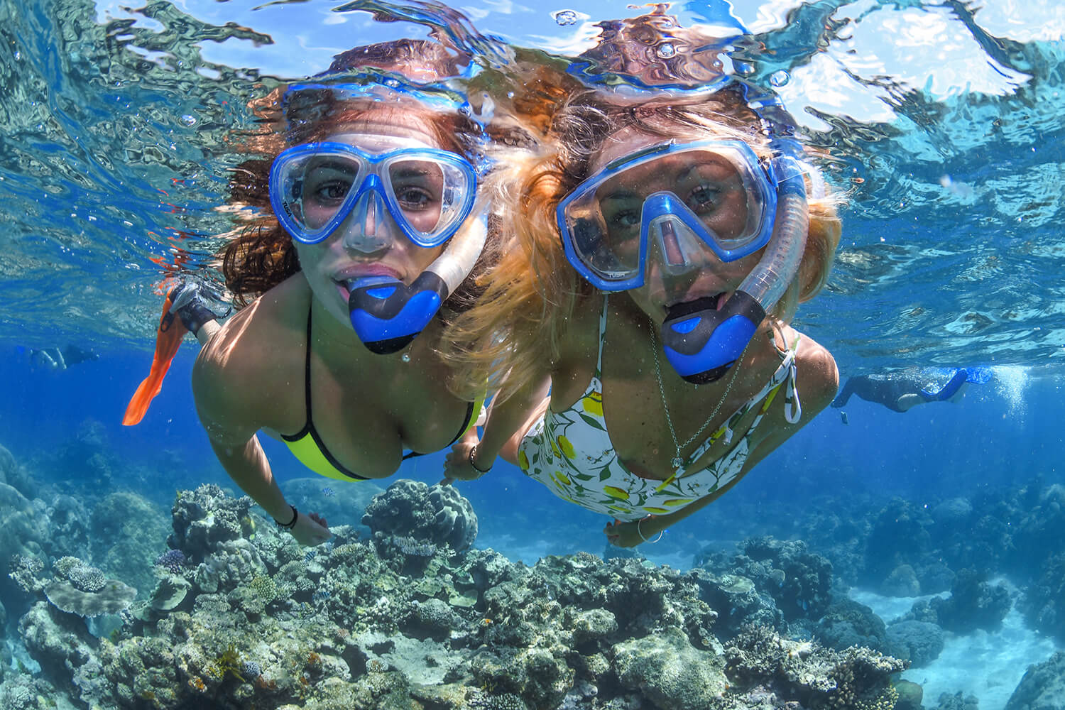 Snorkel_Reef and Rainforest Package