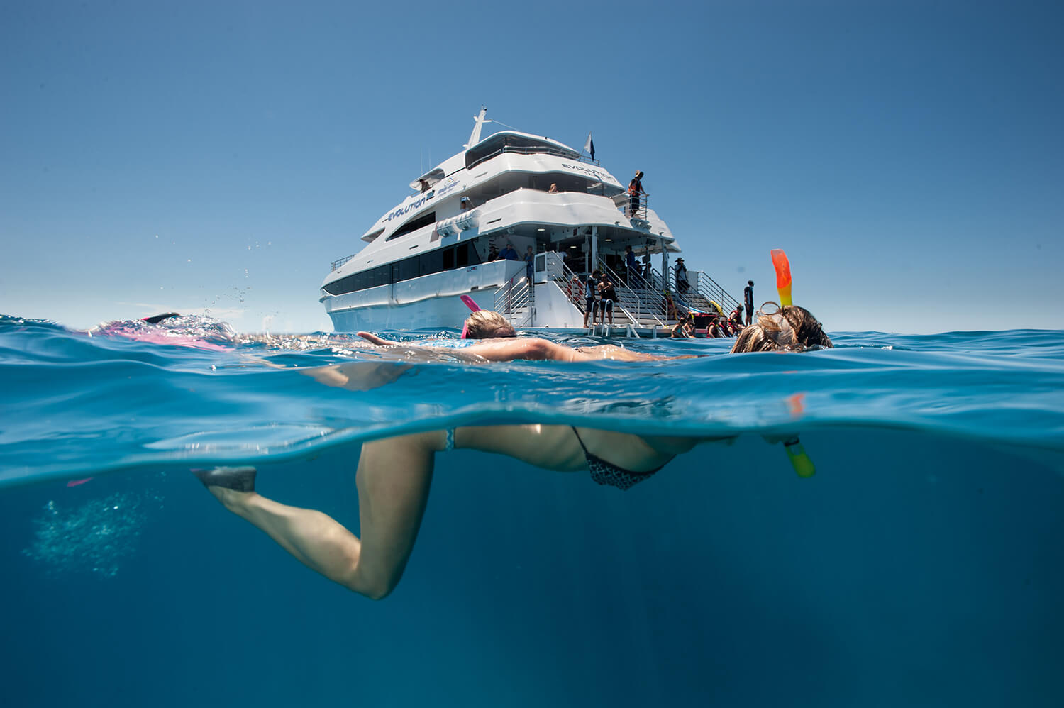 Snorkelling_Great Barrier Reef Tour Cairns